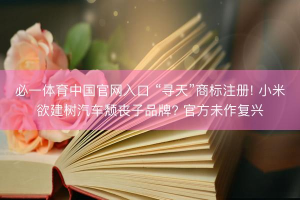 必一体育中国官网入口 “寻天”商标注册! 小米欲建树汽车颓丧子品牌? 官方未作复兴