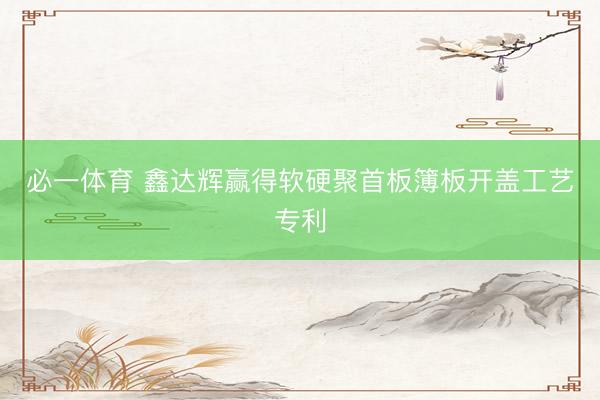 必一体育 鑫达辉赢得软硬聚首板簿板开盖工艺专利