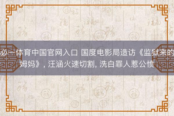 必一体育中国官网入口 国度电影局造访《监狱来的姆妈》， 汪涵火速切割， 洗白罪人惹公愤