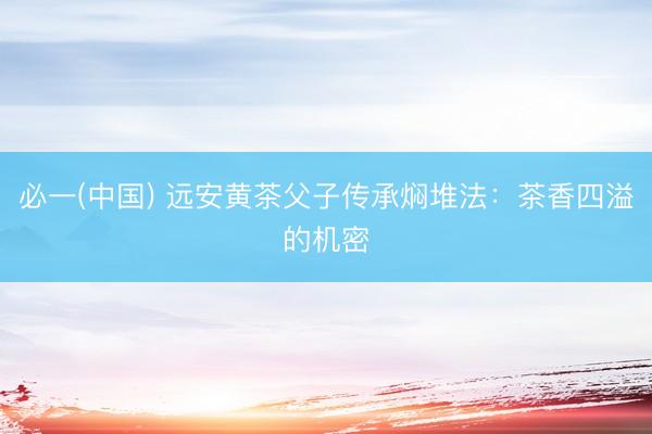 必一(中国) 远安黄茶父子传承焖堆法：茶香四溢的机密