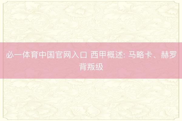 必一体育中国官网入口 西甲概述: 马略卡、赫罗背叛级