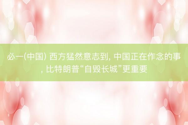 必一(中国) 西方猛然意志到， 中国正在作念的事， 比特朗普“自毁长城”更重要