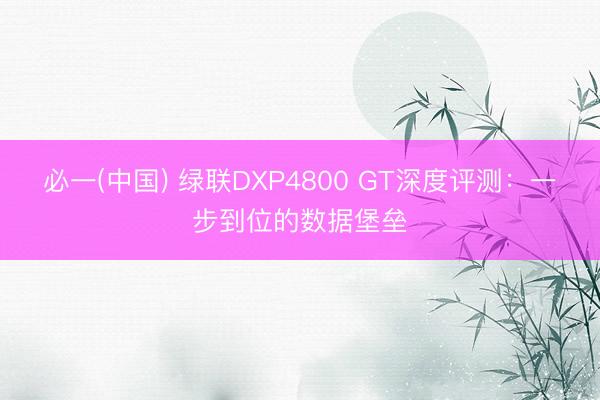 必一(中国) 绿联DXP4800 GT深度评测：一步到位的数据堡垒