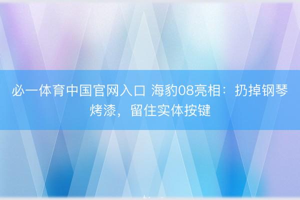 必一体育中国官网入口 海豹08亮相：扔掉钢琴烤漆，留住实体按键