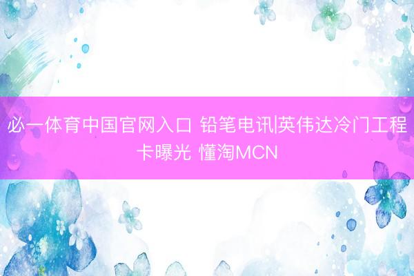 必一体育中国官网入口 铅笔电讯|英伟达冷门工程卡曝光 懂淘MCN