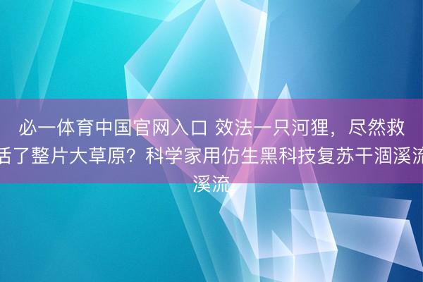 必一体育中国官网入口 效法一只河狸，尽然救活了整片大草原？科学家用仿生黑科技复苏干涸溪流