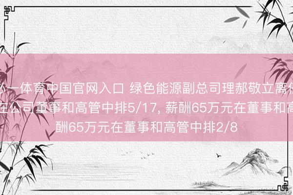 必一体育中国官网入口 绿色能源副总司理郝敬立离任， 年事58岁在公司董事和高管中排5/17， 薪酬65万元在董事和高管中排2/8