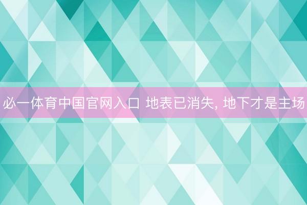 必一体育中国官网入口 地表已消失， 地下才是主场