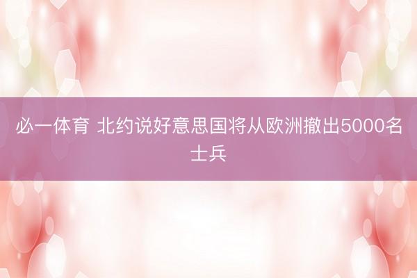 必一体育 北约说好意思国将从欧洲撤出5000名士兵