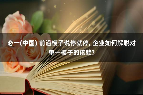 必一(中国) 前沿模子说停就停， 企业如何解脱对单一模子的依赖?