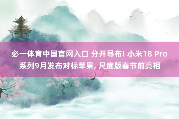 必一体育中国官网入口 分开导布! 小米18 Pro系列9月发布对标苹果， 尺度版春节前亮相