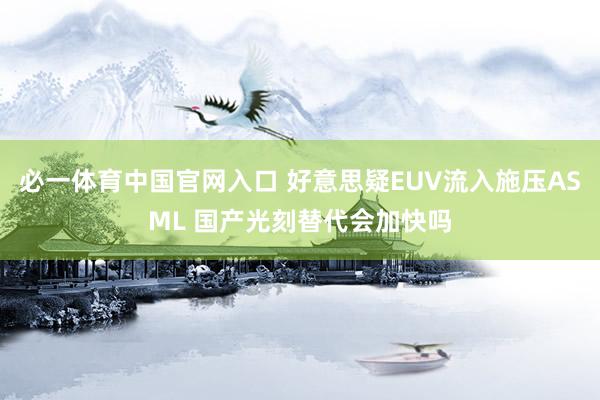 必一体育中国官网入口 好意思疑EUV流入施压ASML 国产光刻替代会加快吗