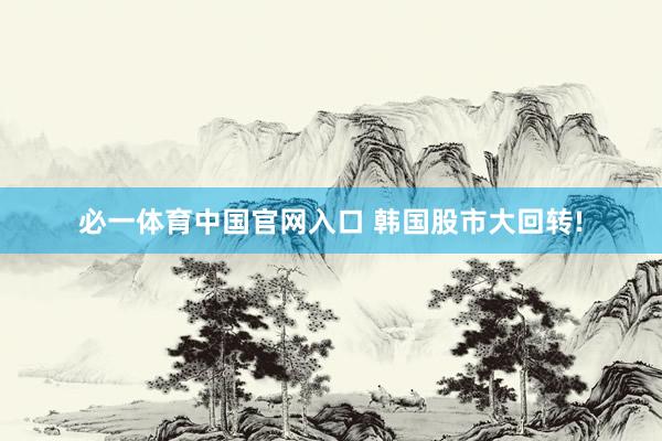 必一体育中国官网入口 韩国股市大回转!